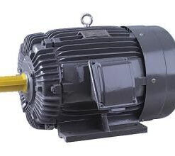 Động cơ tháp giải nhiệt công suất 3HP-2.2Kw  AEVF132S-8 LiangChi